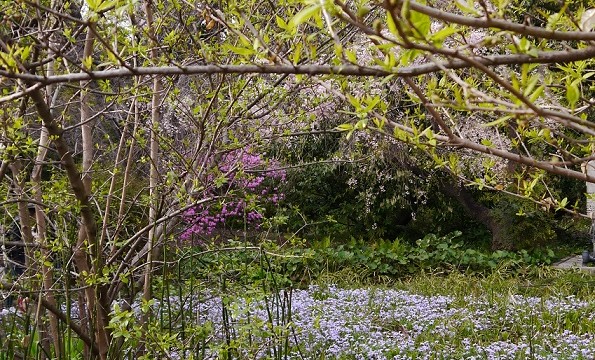 Spring Holiday