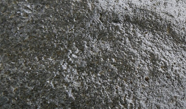 Peat