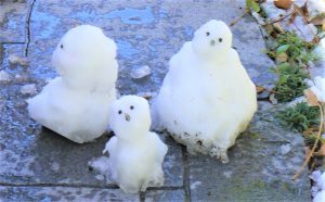 雪の文様