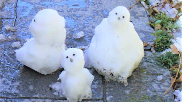雪の文様