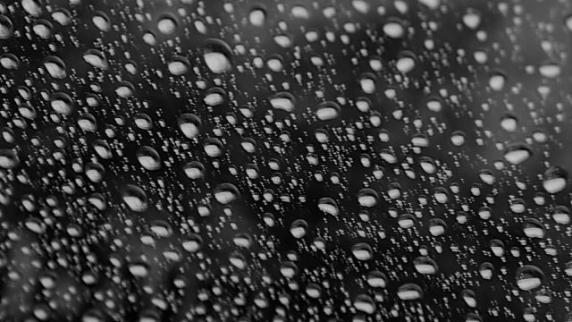 Rainy Season